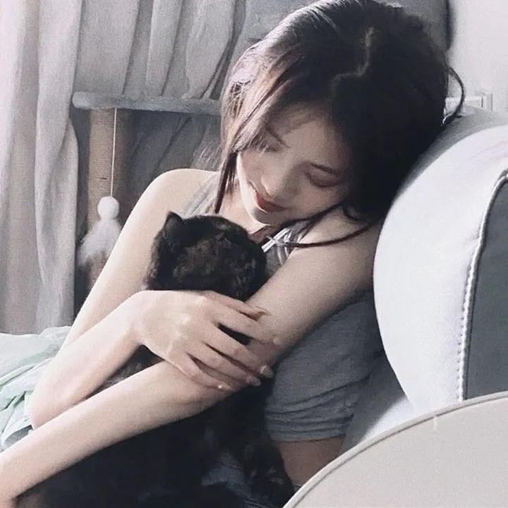 再见柏林在线观看封面